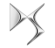 Logo DS